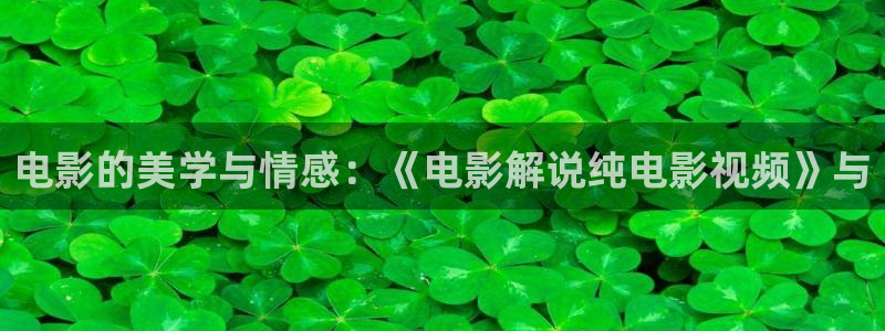 午夜电影入口在线观看