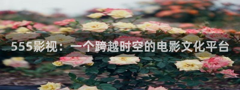 午夜夫妻电影