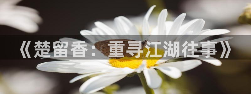 日韩午夜电影免费观看