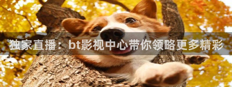 午夜欧美福利影院
