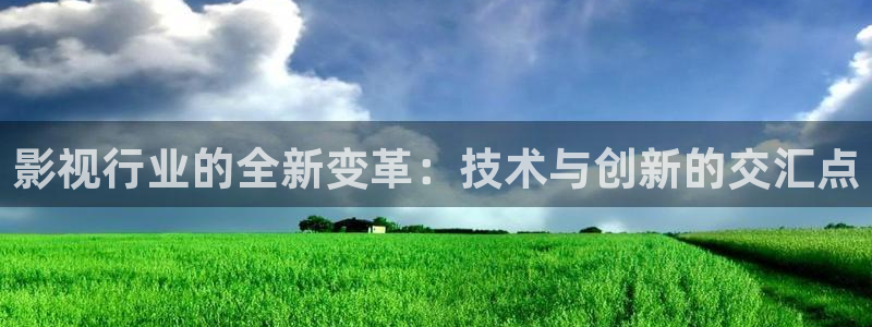 神马影院午夜理论网