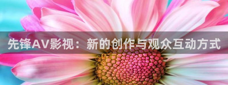 神马影院午夜888