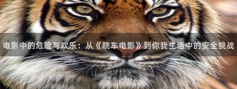 福利在线 午夜