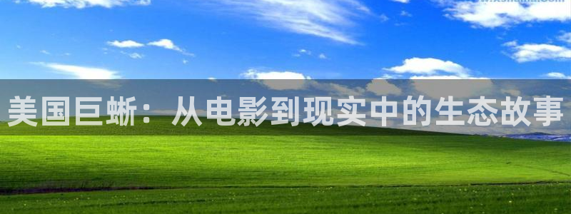 日本午夜二三电影