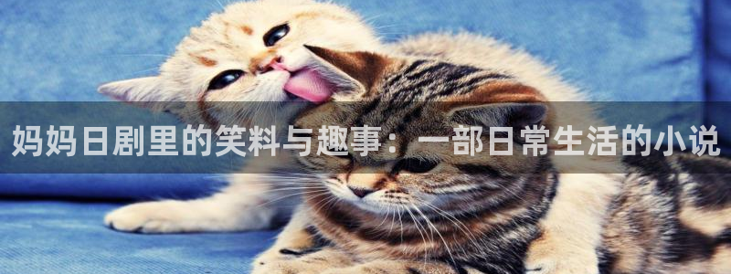 免费观看午夜毛片