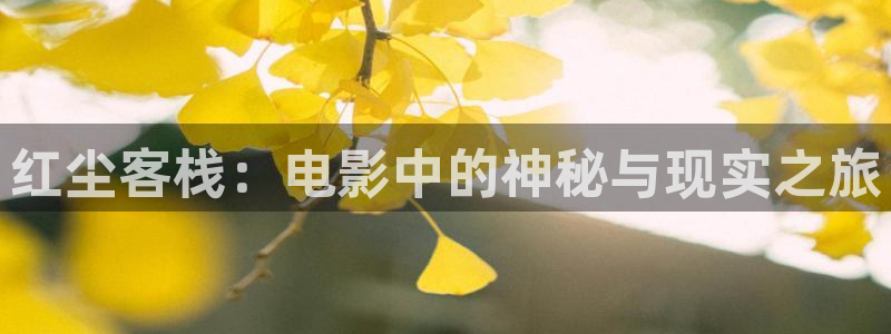 午夜成年电影在线