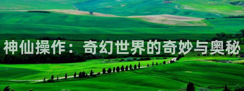 午夜在线97影院