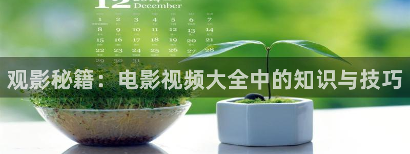 午夜电影天堂福利