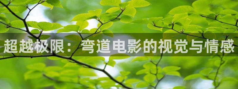 午夜电影秋霞