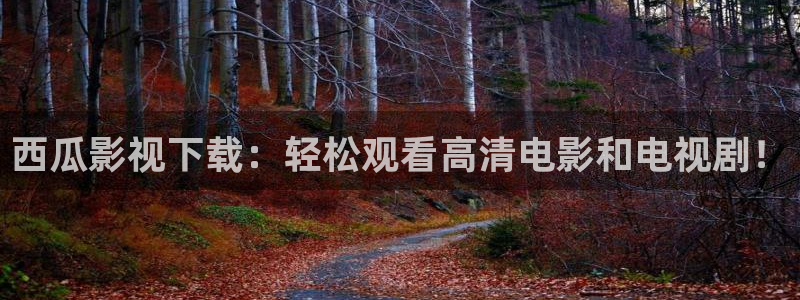 国内午夜在线