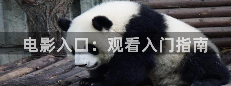 韩国电影《午夜》