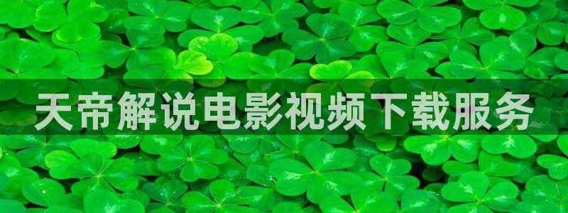 午夜a v影视