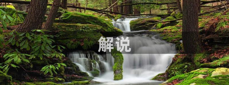 欧美午夜免费影院在线观看