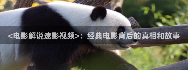 午夜响铃电影