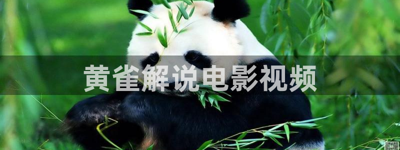 神马影院午夜私人影院