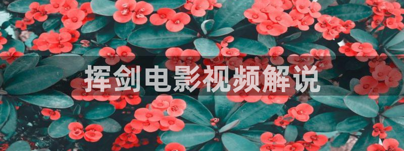 午夜高清网站：挥剑电影视频解说