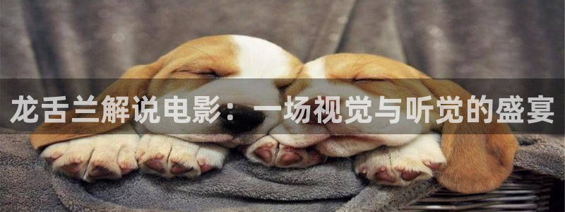 毛片av久久青青午夜：龙舌兰解说电影：一场视觉与听觉的盛宴