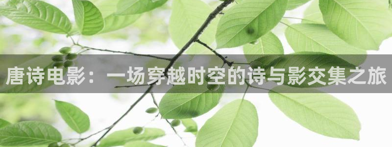 国产午夜激情av：唐诗电影：一场穿越时空的诗与影交集之旅