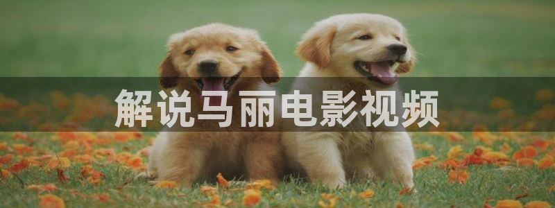 97午夜电影版：解说马丽电影视频