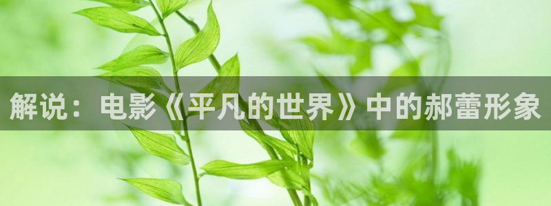 电影福利午夜