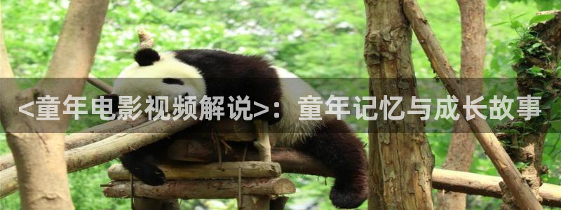 午夜av内射一区二区三区红桃视：<童年电影视频解说>：童年记忆与成长故事