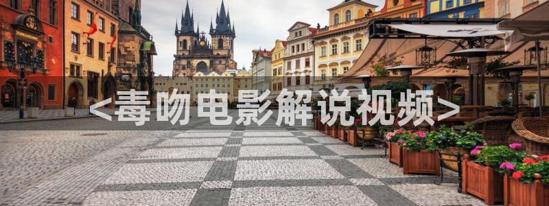 午夜国产精品电影剧情：<毒吻电影解说视频>