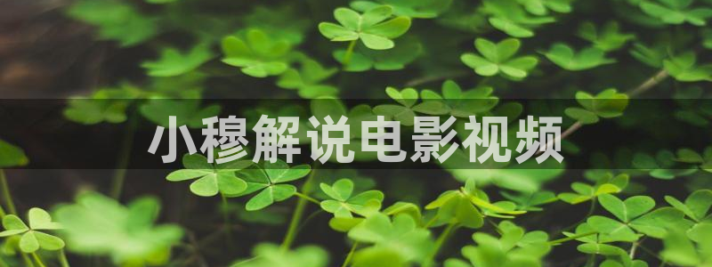 午夜电影院伦理：小穆解说电影视频