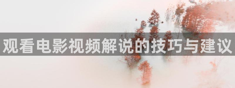av午夜网：观看电影视频解说的技巧与建议