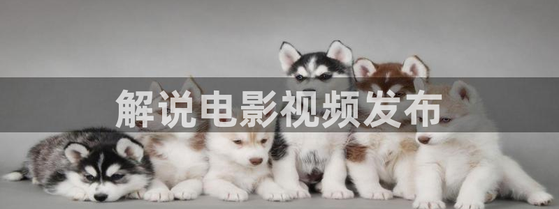 国产成人午夜免费电影：解说电影视频发布