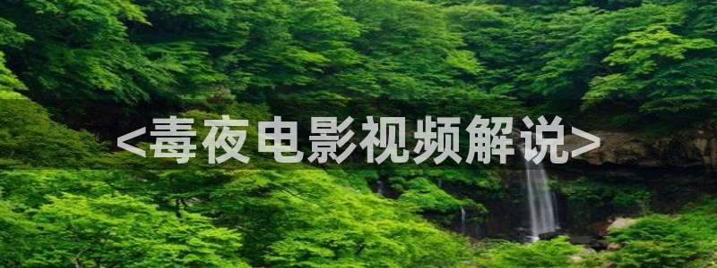 国产午夜论理片：<毒夜电影视频解说>