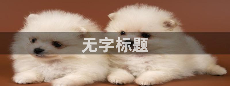 午夜在线视频在线观看
