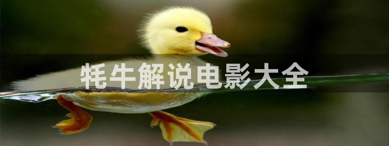 182午夜tv在线观看：牦牛解说电影大全