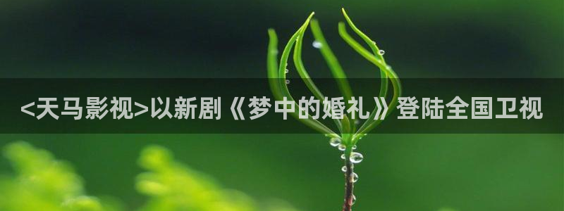 久久电影网午夜鲁丝片：<天马影视>以新剧《梦中的婚礼》登陆全国卫视