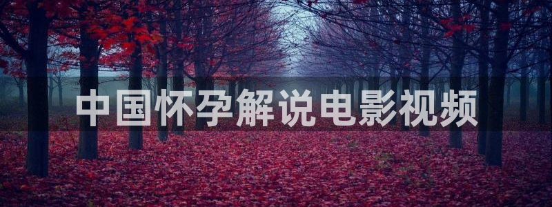 80s成人午夜电影
