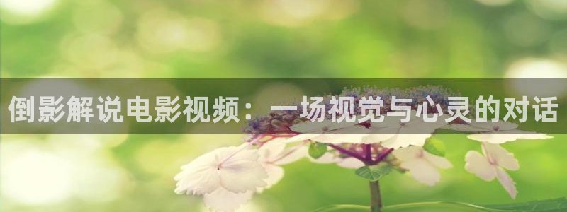 神马达达兔午夜电影：倒影解说电影视频：一场视觉与心灵的对话