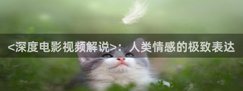 午夜奇优影院：<深度电影视频解说>：人类情感的极致表达