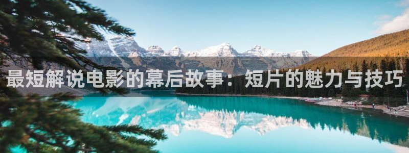 日本午夜片网站：最短解说电影的幕后故事：短片的魅力与技巧