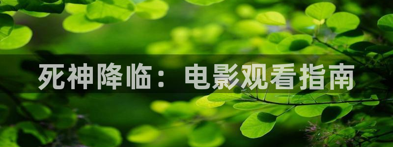 午夜影：死神降临：电影观看指南