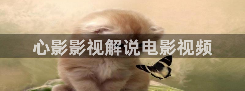成人午夜免费在线观看：心影影视解说电影视频