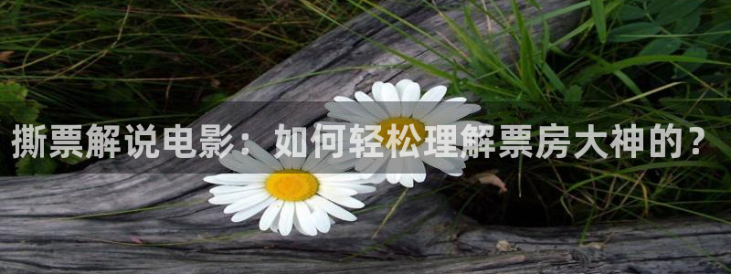 午夜片动漫