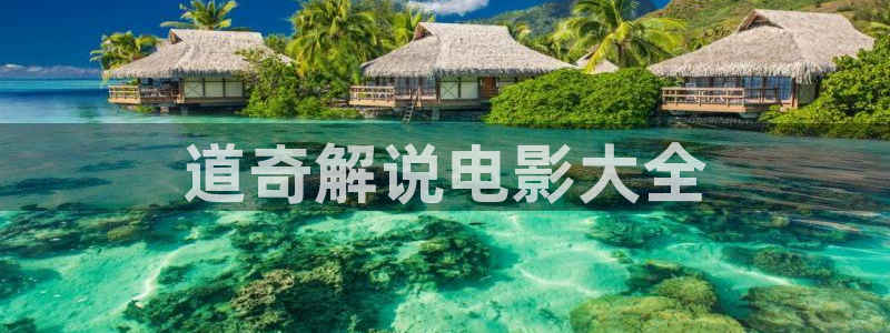 成人在线午夜电影