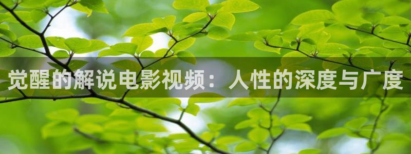 神马午夜伦理大香蕉
