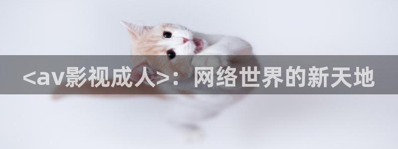 神马影院午夜天堂