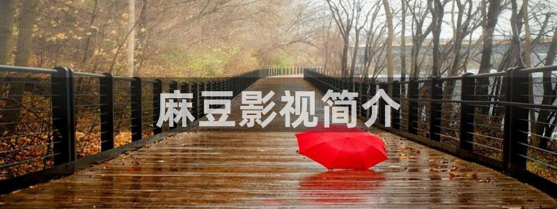 av午夜免费观看