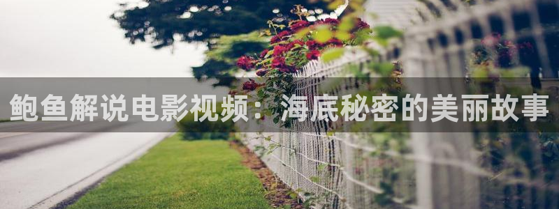 电影恐怖午夜