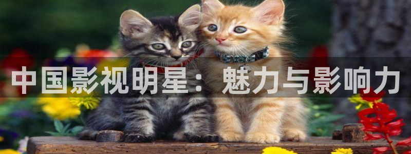 午夜理论电影