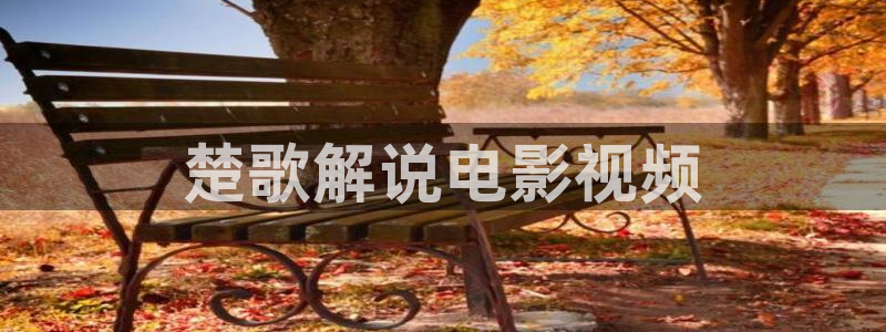 达达兔午夜剧场