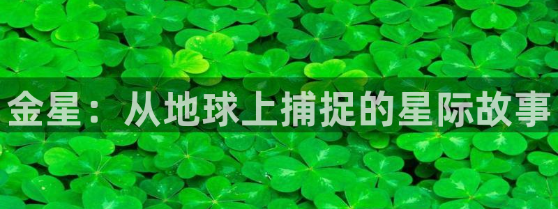 久久电影网午夜影院