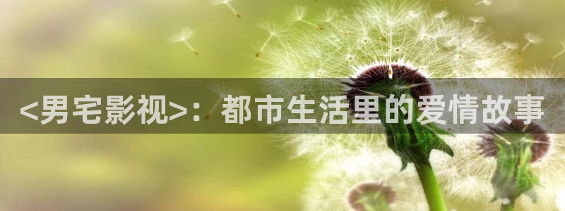 午夜精品一区二区三区在线观看