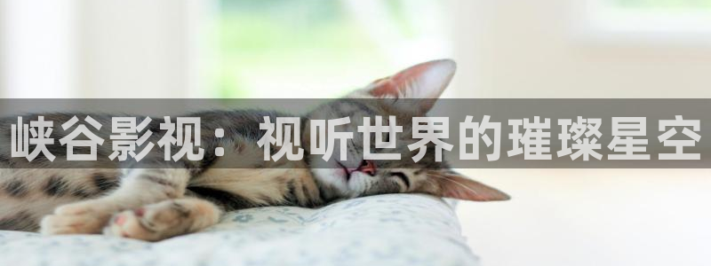 av午夜蜜桃